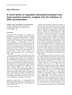 MicroReview A novel family of regulated helicases/nucleases from
