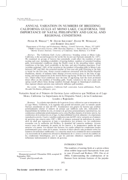 annual variation in numbers of breeding california gulls at mono