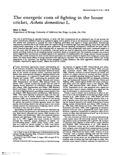 The energetic costs of fighting in the house