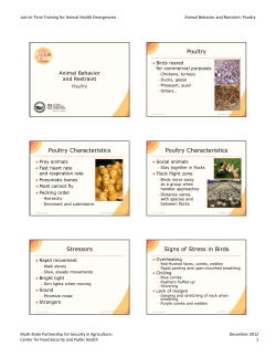 Poultry Poultry Characteristics Poultry Characteristics Stressors