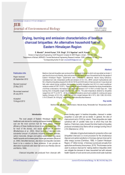 Drying, burning and emission characteristics of beehive charcoal