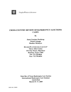 Cross-Country Review of Bankruptcy Sanctions Cases