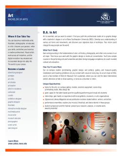 B.A. in Art - Nova Southeastern University