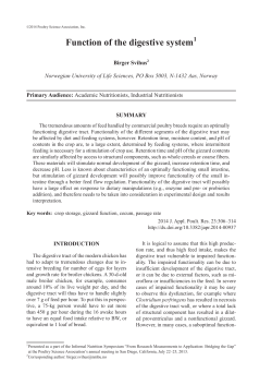 Function of the digestive system