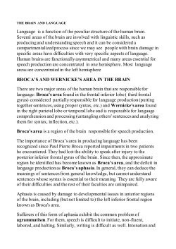 Broca`s area is a region of the brain responsible for speech production