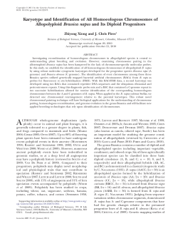 Karyotype and Identification of All Homoeologous