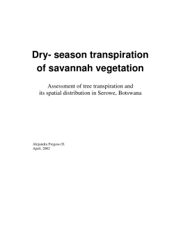 Dry- season transpiration of savannah vegetation