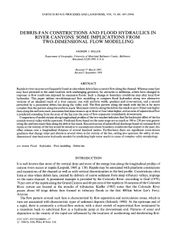 Debris-fan constrictions and flood hydraulics in river canyons: Some