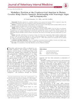 Medullary Position at the Craniocervical Junction in Mature Cavalier