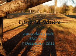 Life and Nature - State College of Florida