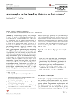 Acoelomorpha: earliest branching bilaterians or deuterostomes?