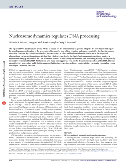 Nucleosome dynamics regulates DNA processing