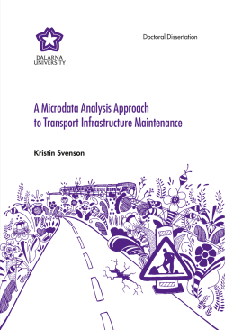 A Microdata Analysis Approach to Transport Infrastructure
