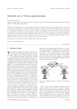 Metabolic rate of Cherax quadricarinatus