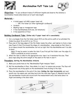 Marshmallow Puff Tube Lab