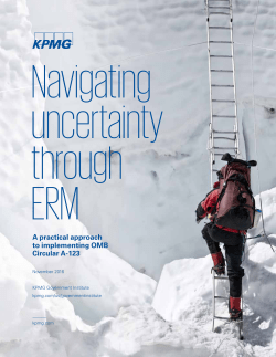 Navigating uncertainty through ERM: A practical approach