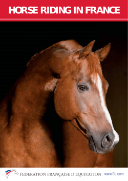 HORSE RIDING IN FRANCE