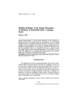 Herding Strategies of the Datoga Pastoralists of