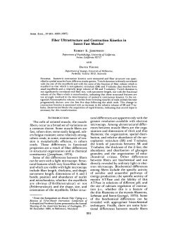 Fiber Ultrastructure and Contraction Kinetics in Insect Fast Muscles1