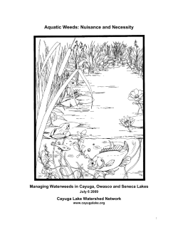 Aquatic Weeds: Nuisance and Necessity