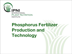 Phosphorus Fertilizer Production and Technology