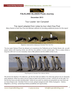 Click this link to view the full report in PDF format