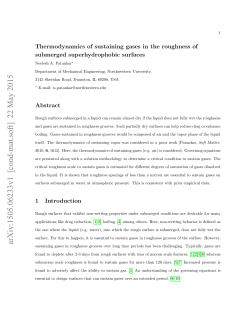 Thermodynamics of sustaining gases in the roughness of