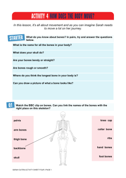 activity 4 how does the body move?