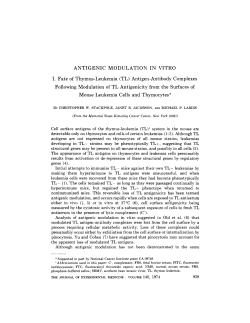 ANTIGENIC MODULATION IN VITRO I. Fate of