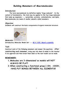Building Monomers of Macromolecules