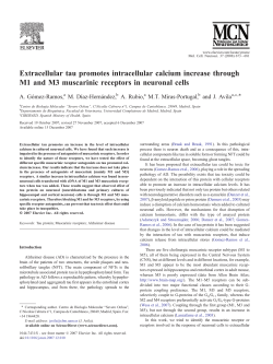 Extracellular tau promotes intracellular calcium increase through M1