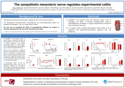 Sympathetic innervation maintains homeostasis in