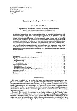 Some aspects of cycadeoid evolution