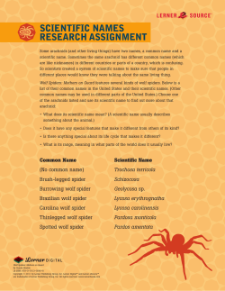 scientific names research assignment