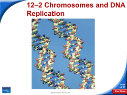 12&ndash;2 Chromosomes and DNA Replication