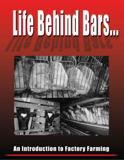 Life Behind Bars pdf - Rabbit Advocacy Group