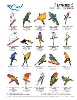 Feathers 5 _11294.qxd