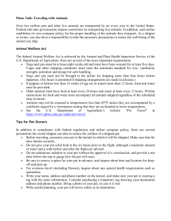 Plane Talk: Traveling with Animals Over two million pets and other