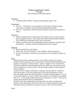 Producers and Energy Transfer - gk-12