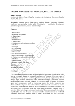 Special Processes for Products, Fuel and Energy