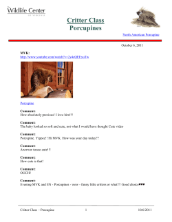 Critter Class Porcupines - The Wildlife Center of Virginia
