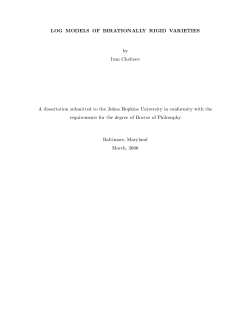 LOG MODELS OF BIRATIONALLY RIGID VARIETIES