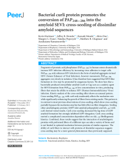 Bacterial curli protein promotes the conversion of PAP248