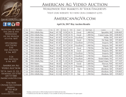 American Ag Video Auction