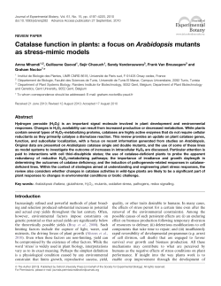 Catalase function in plants: a focus on