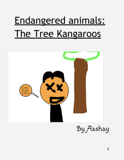 The tree kangaroo
