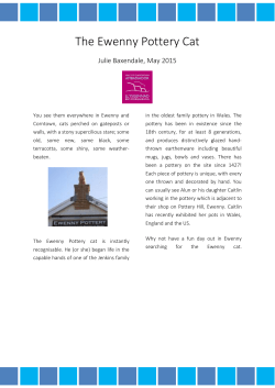 The Ewenny Pottery Cat