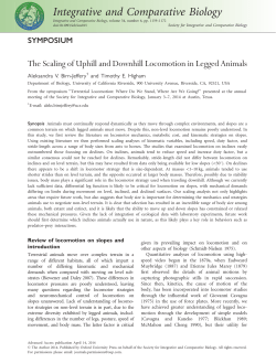 The Scaling of Uphill and Downhill Locomotion in Legged Animals
