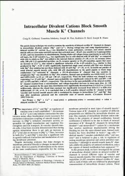Intracellular Divalent Cations Block Smooth