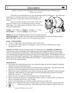 INDIAN RHINO - Rolling Hills Zoo